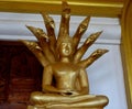 The Naga Buddha